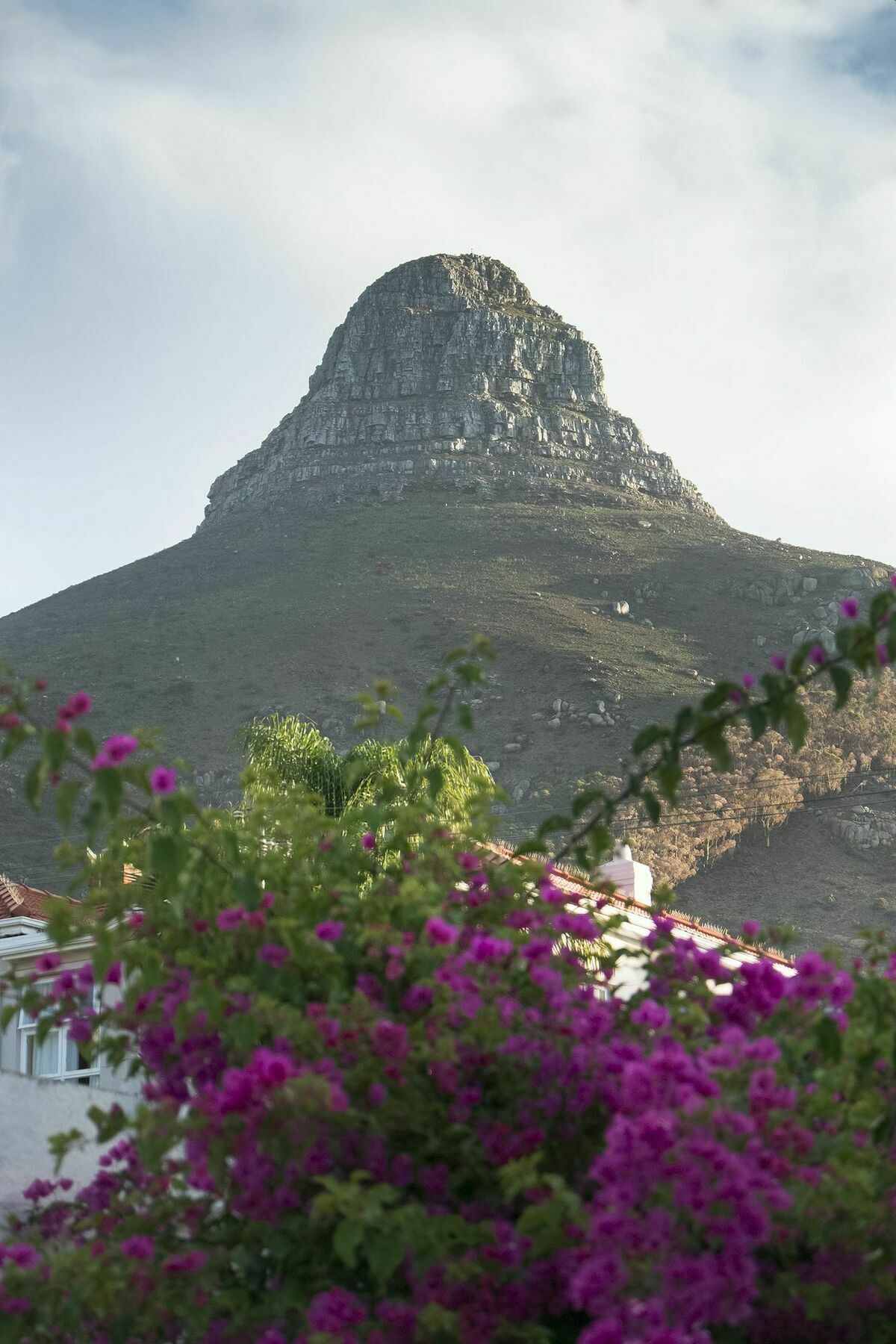 Guest house Rhonda's Manor Boutique Guest House Cape Town
